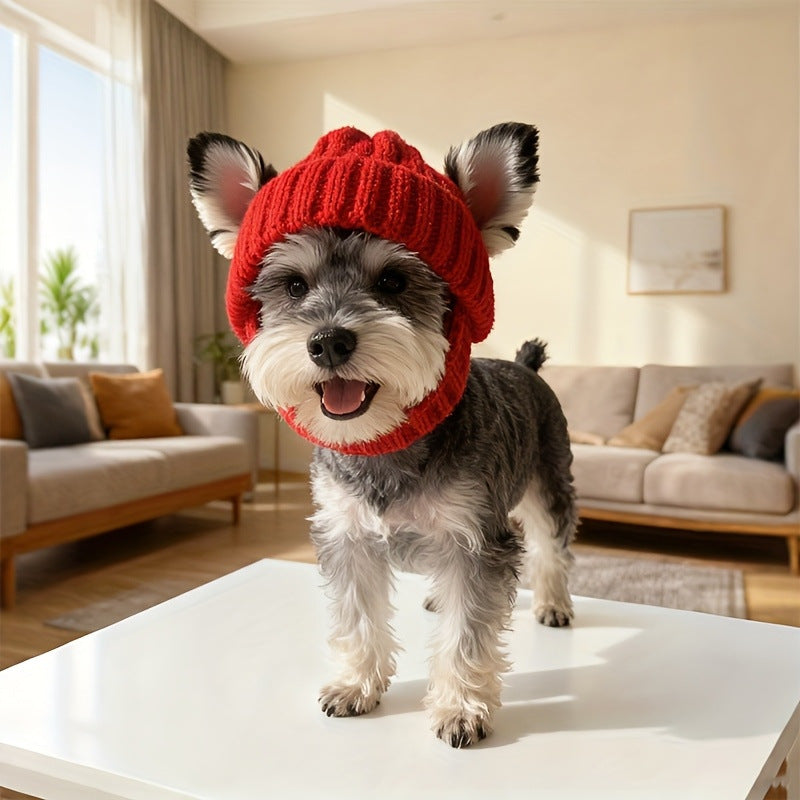 Bonnet tricoté Halloween pour chien – Chaud & coupe-vent