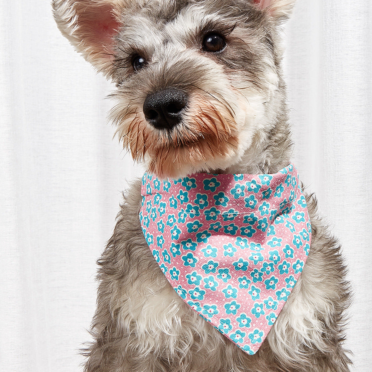 Bandana pour chien et chat – vue produit