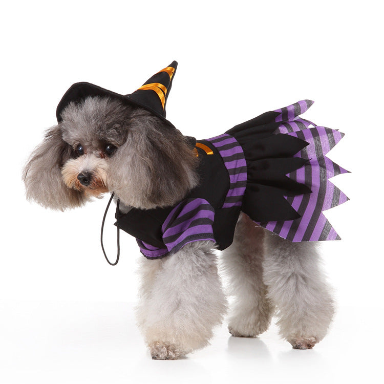 Déguisement de Noël pour chien & chat – Tenue festive