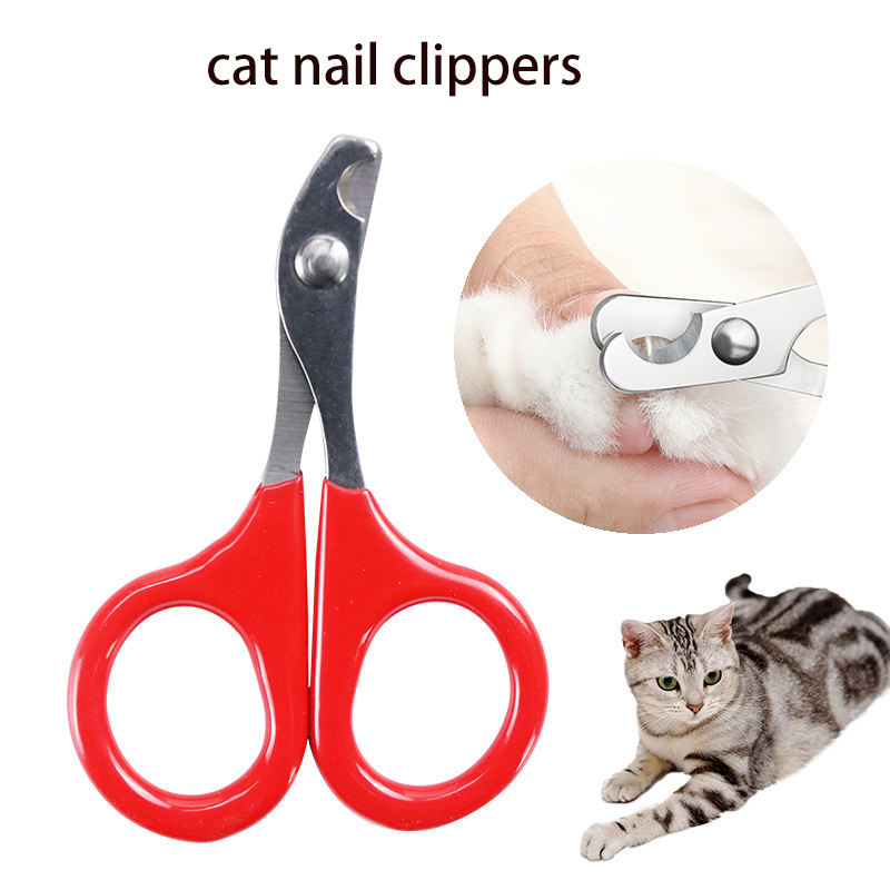 Coupe-ongles pour chien & chat – Pince en acier inoxydable