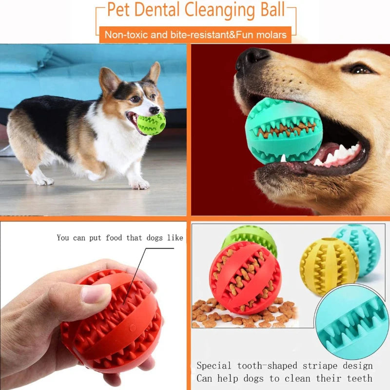 Balle à mâcher pour chien – Nettoyage des dents