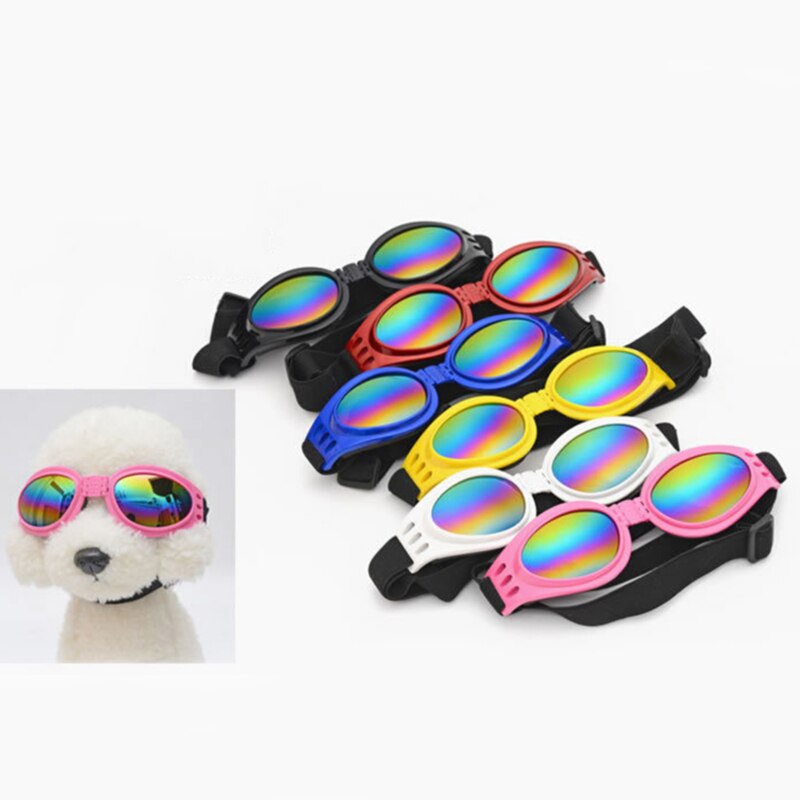 Lunettes de protection pour chien – Anti-pluie & UV