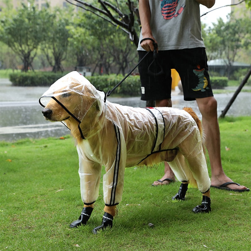 Imperméable transparent pour chien – Léger & coupe-vent