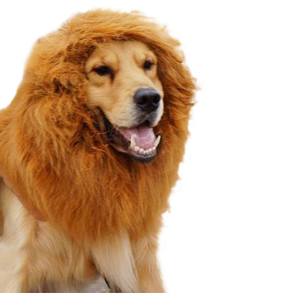 Déguisement lion pour chien – Bonnet à crinière