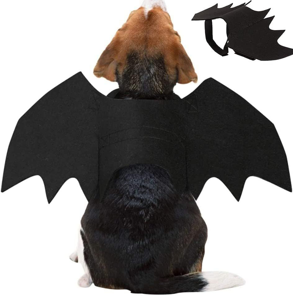 Déguisement Halloween pour chien & chat – Ailes de chauve-souris