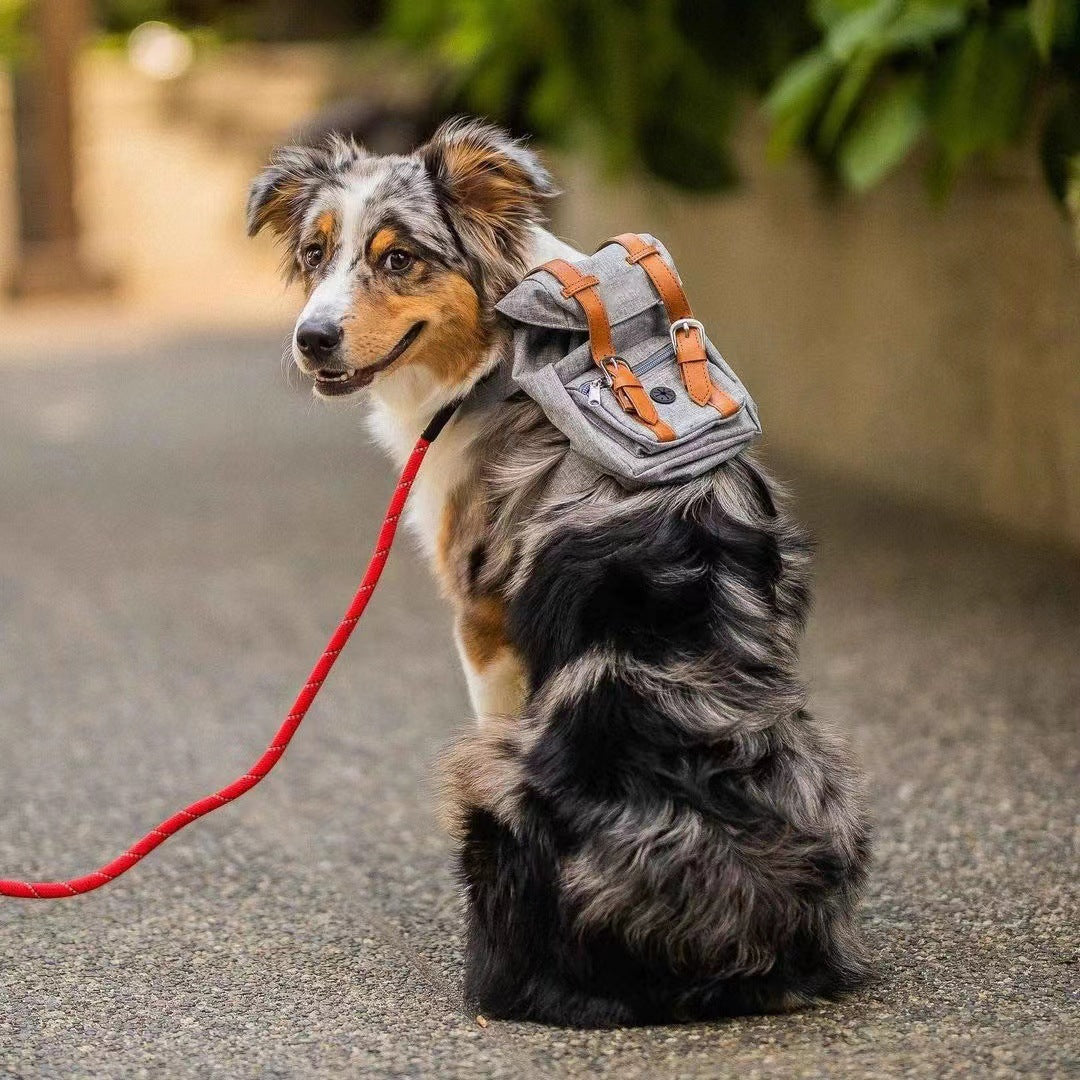 Sac à dos pour chien – Petit sac de promenade