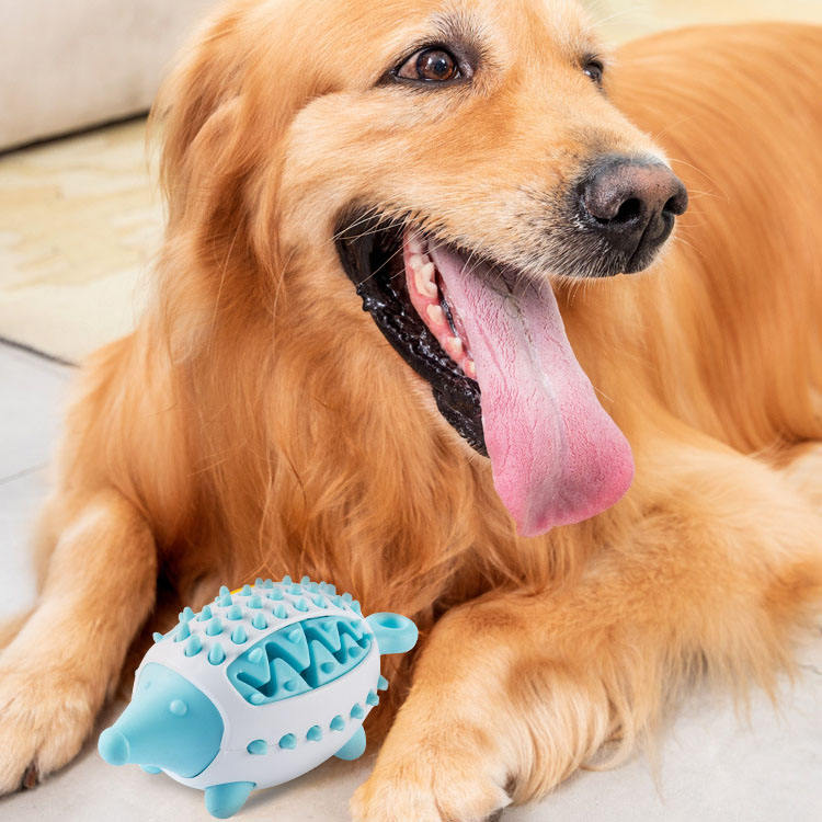 Balle à mâcher pour chien – Distributeur de friandises