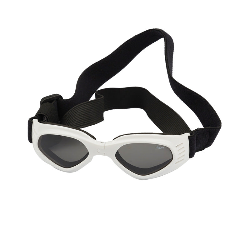 Lunettes de soleil pour chien – Protection des yeux