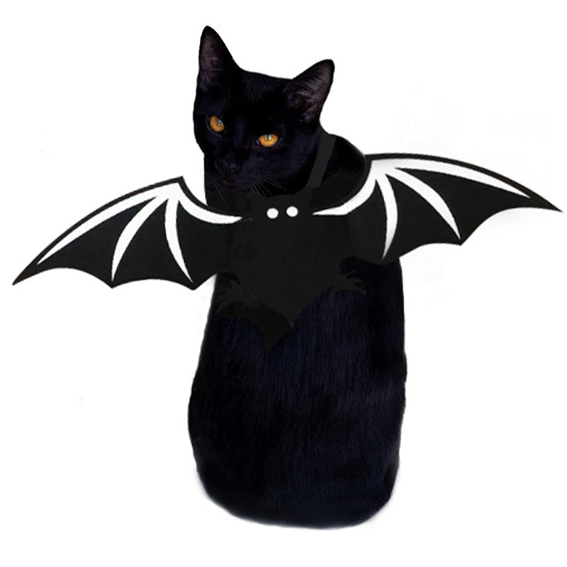Ailes de chauve-souris Halloween pour chien & chat