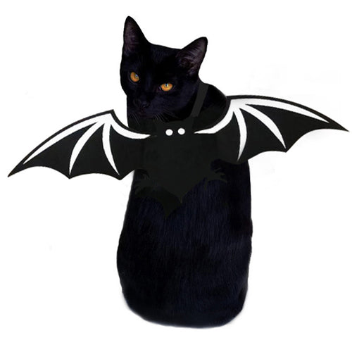 Ailes de chauve-souris Halloween pour chien & chat