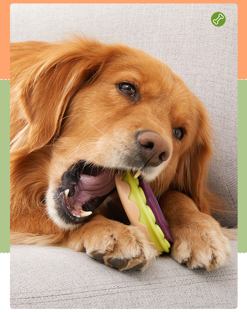Jouet donut à mâcher pour chien – Résistant