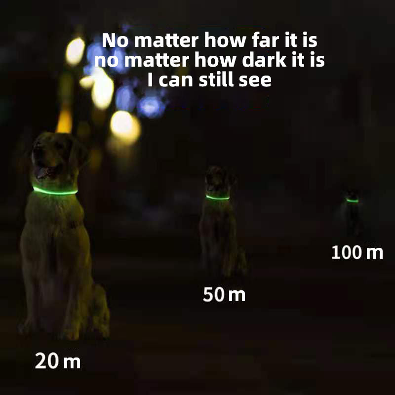 Collier LED lumineux pour chien – Visible la nuit