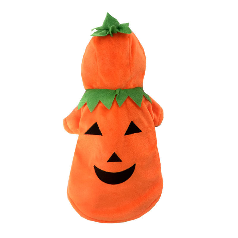 Costume Halloween pour chien & chat – Citrouille chaud