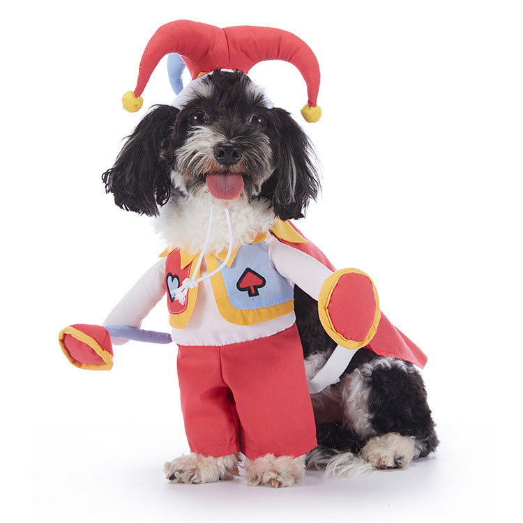 Déguisement pour chien – Costume cœur