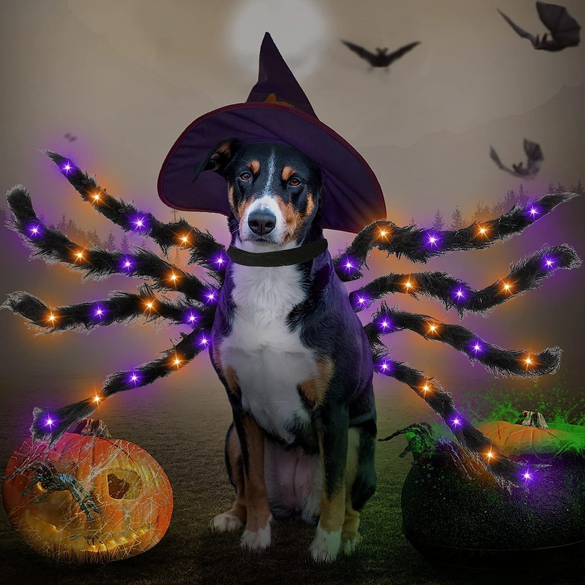Déguisement Halloween pour chien & chat – Ailes de chauve-souris
