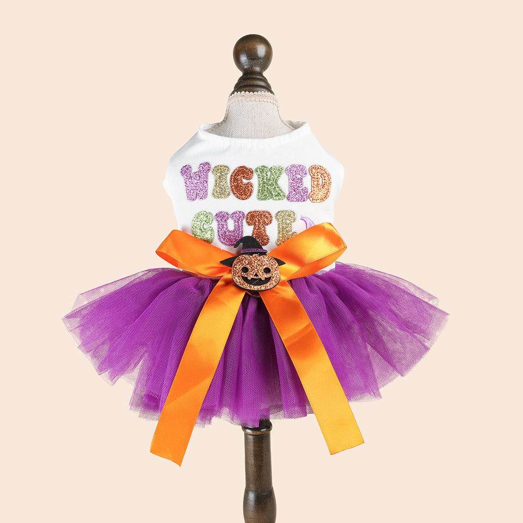 Robe Halloween pour chien – Citrouille violette à sequins