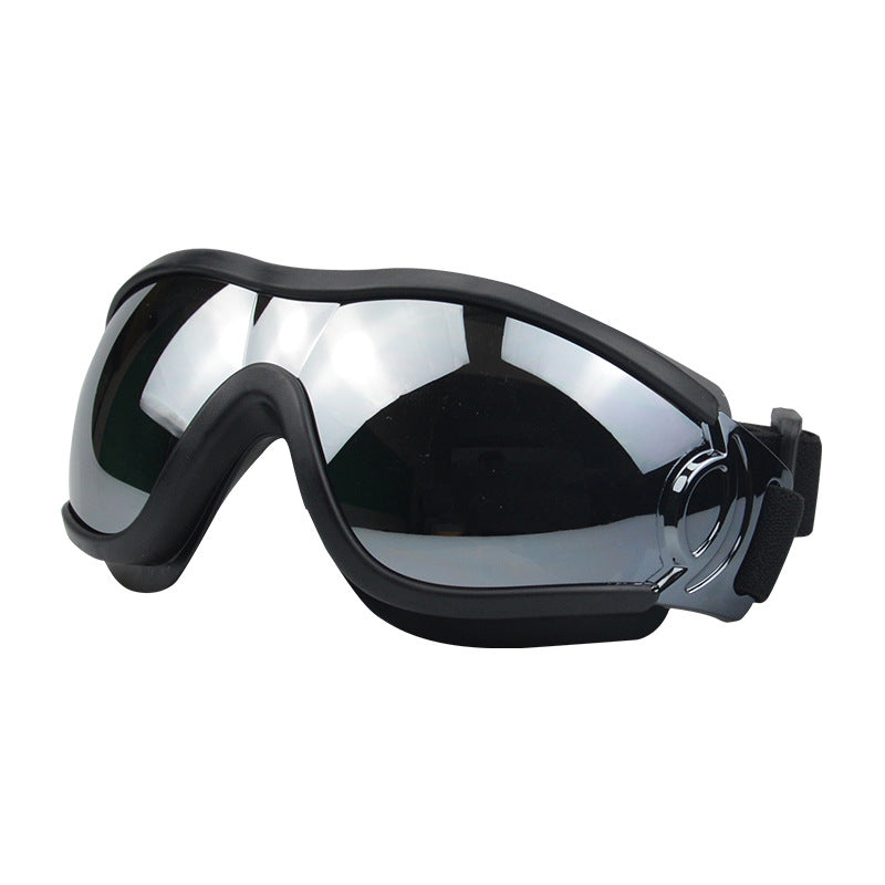 Lunettes pour chien – Protection UV & style