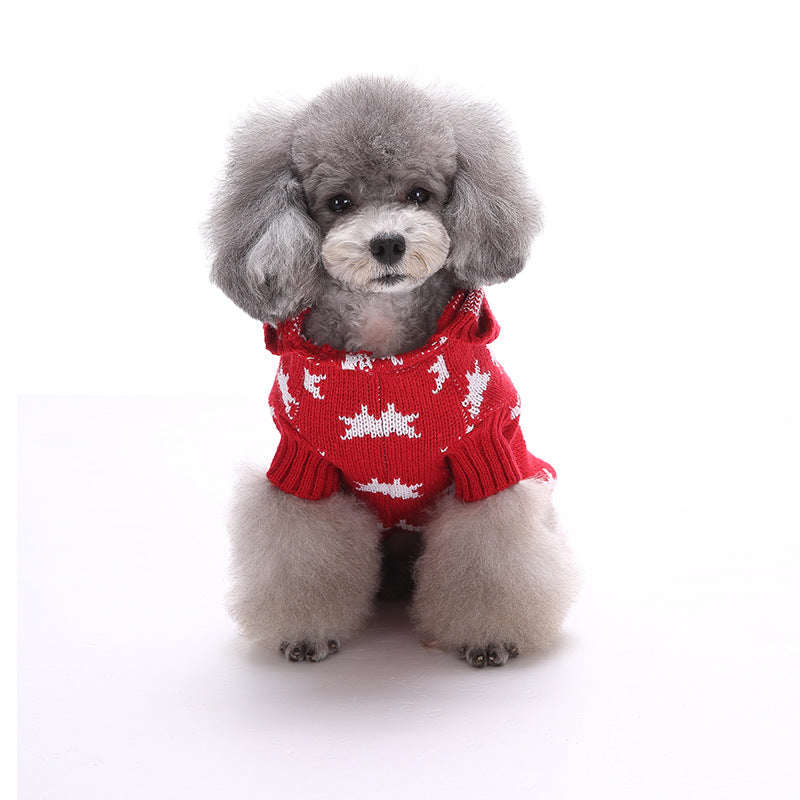 Pull de Noël & Halloween pour chien – Motif festif