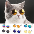 Lunettes fantaisie pour chat & petit chien