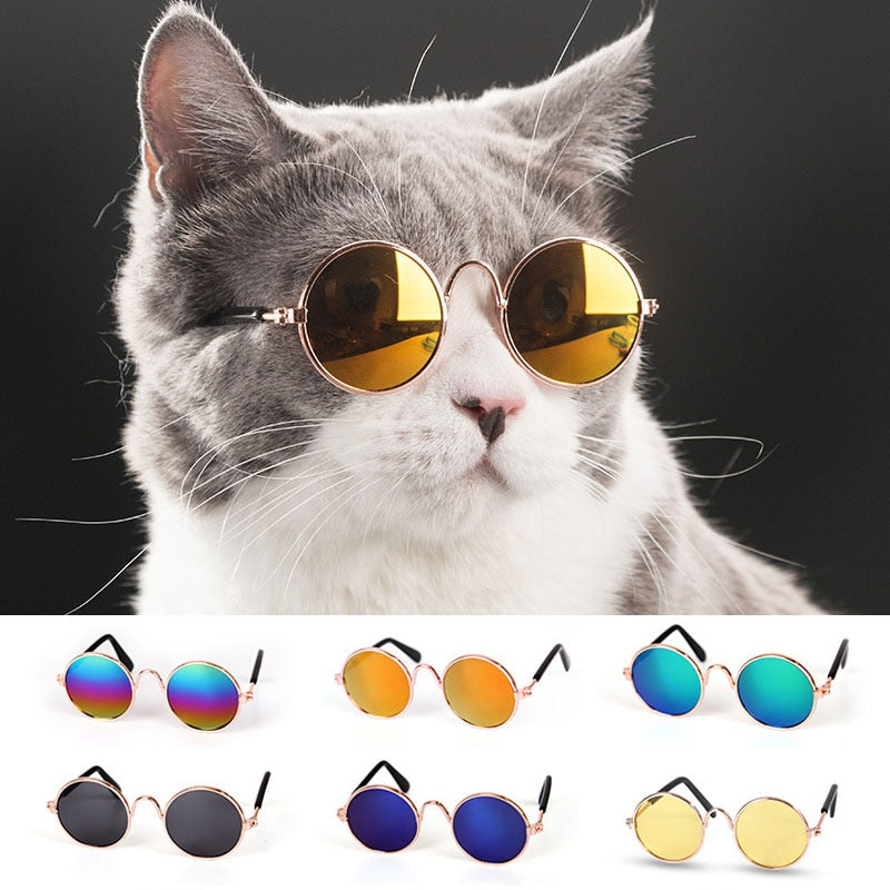 Lunettes fantaisie pour chat & petit chien