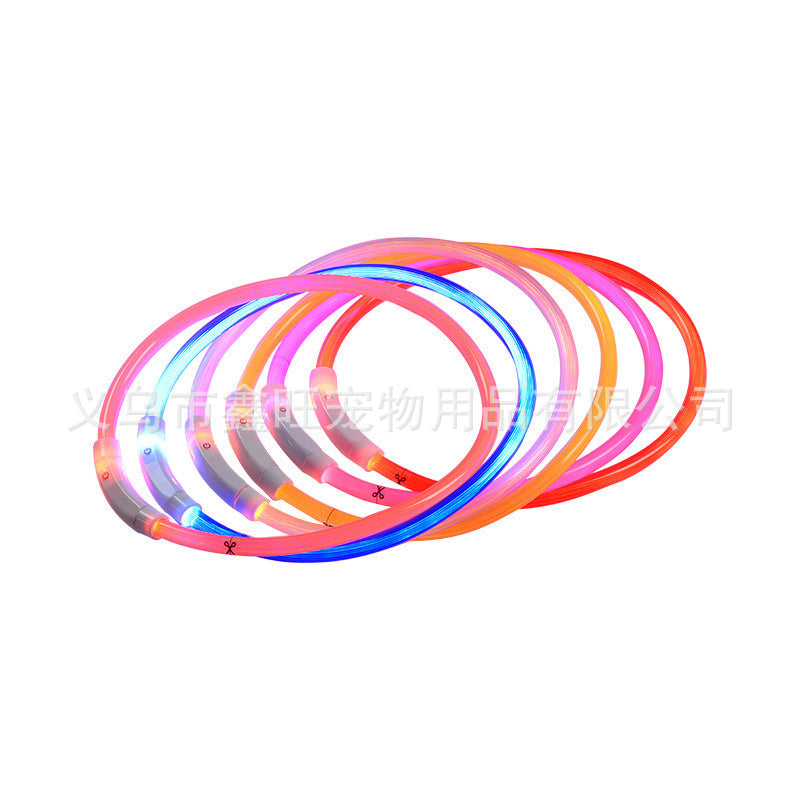 Collier LED lumineux pour chien – Visible la nuit