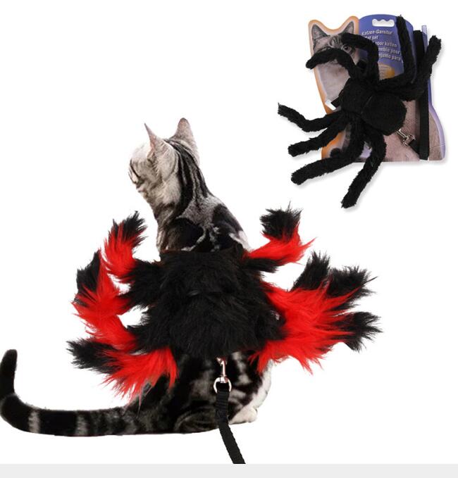 Harnais avec laisse Halloween pour chat – Araignée