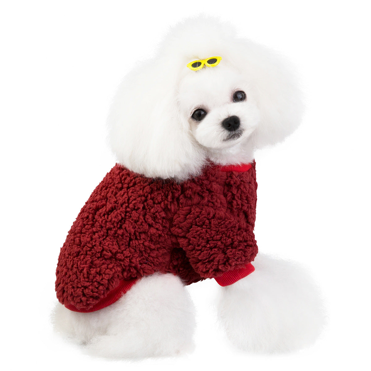 Pull chaud pour chien & chat – Coton