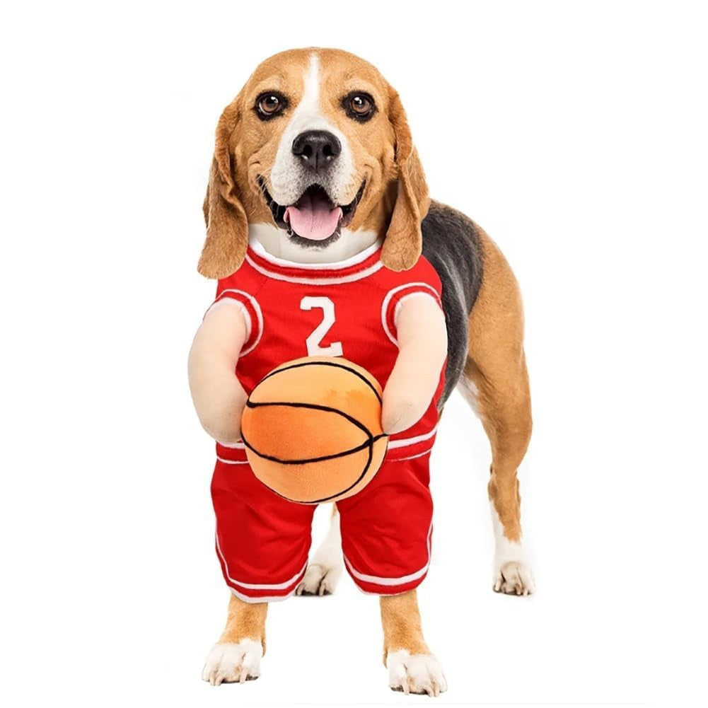 Tenue de basket pour chien – Maillot sportif
