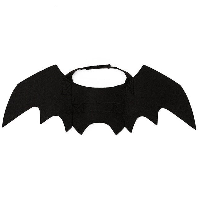 Ailes de chauve-souris Halloween pour chien – Déguisement