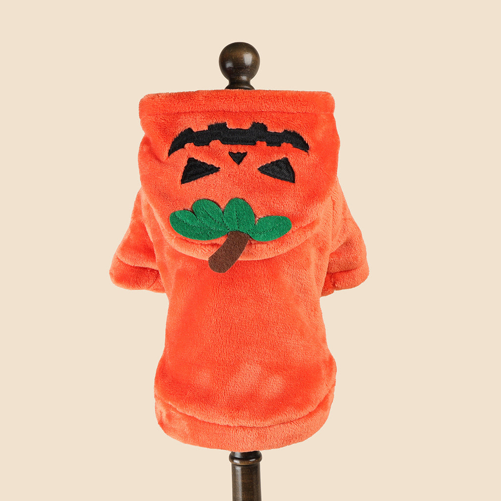 Sweat Halloween pour chien & chat – Citrouille