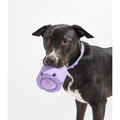Jouet pour chien en TPR – Balle de lancer