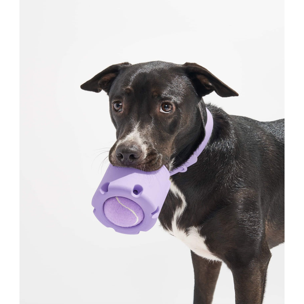 Jouet pour chien en TPR – Balle de lancer