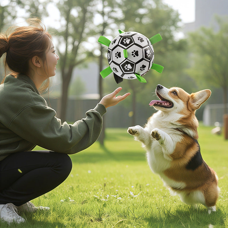 Balle de football pour chien – Nettoyage des dents