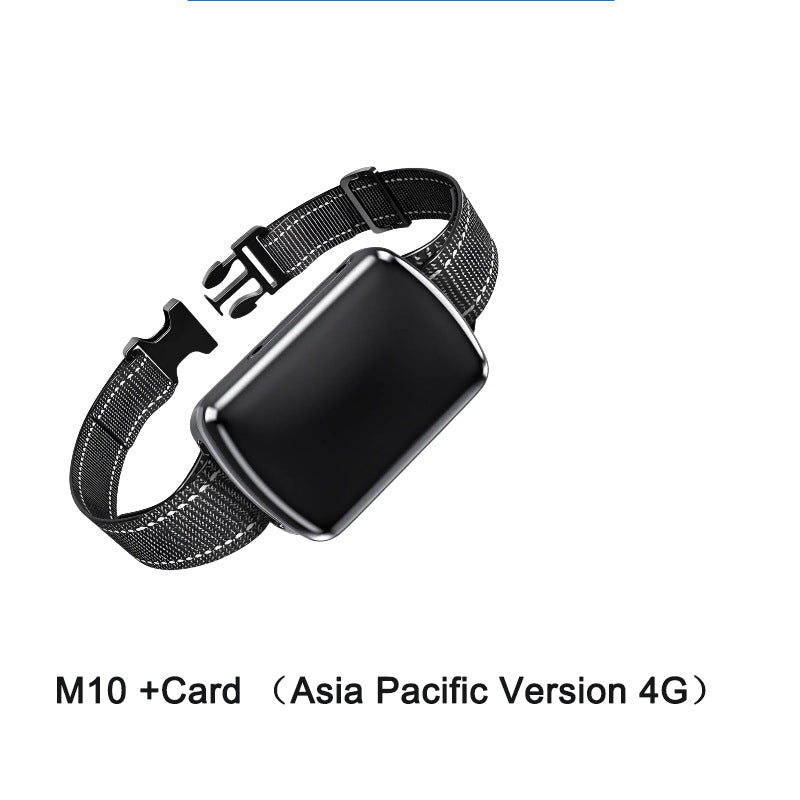 Collier GPS intelligent pour chien & chat – Localisation 4G