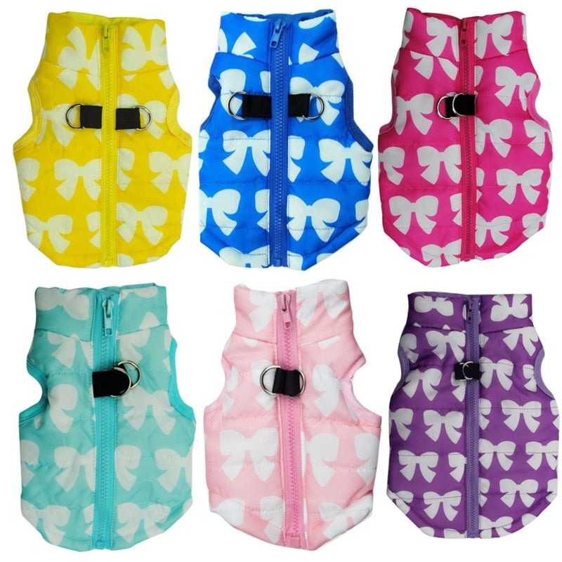 Gilet chaud pour petit chien – Coupe-vent