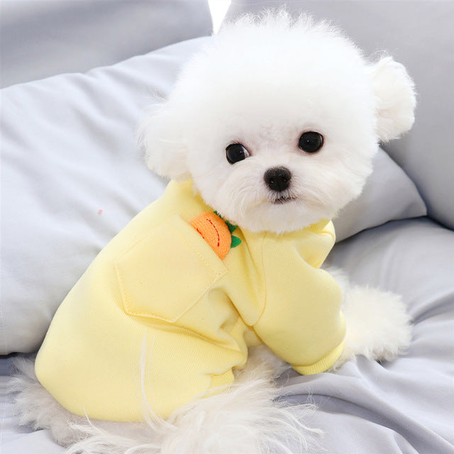 Pull chaud pour chien – Motif carotte