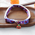 Collier Halloween pour chien & chat – Citrouille