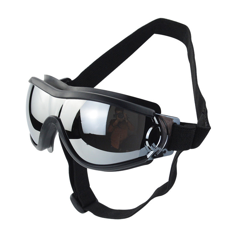 Lunettes pour chien – Protection UV & style