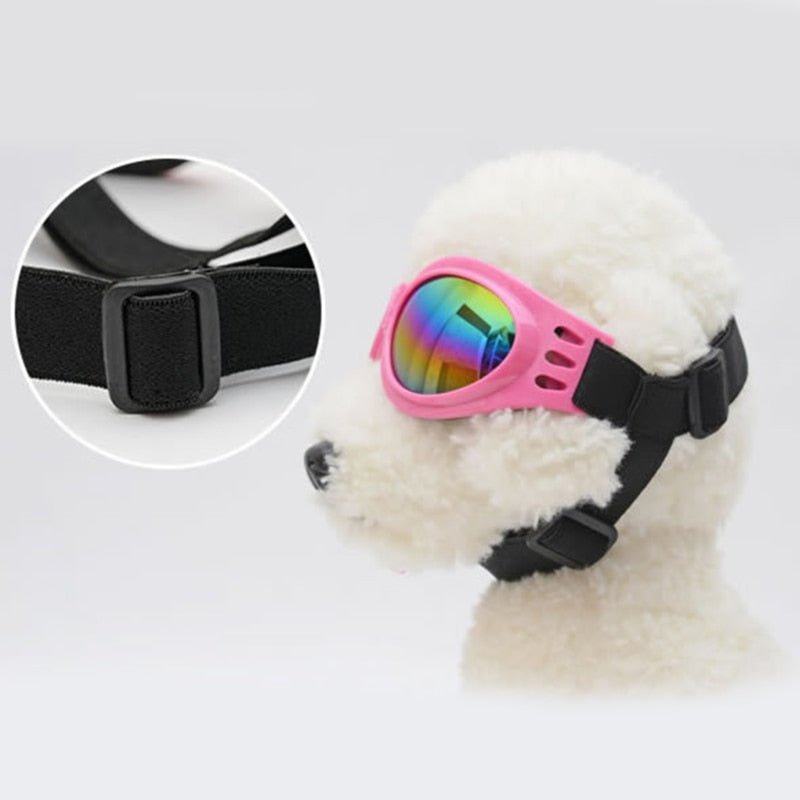 Lunettes de protection pour chien – Anti-pluie & UV