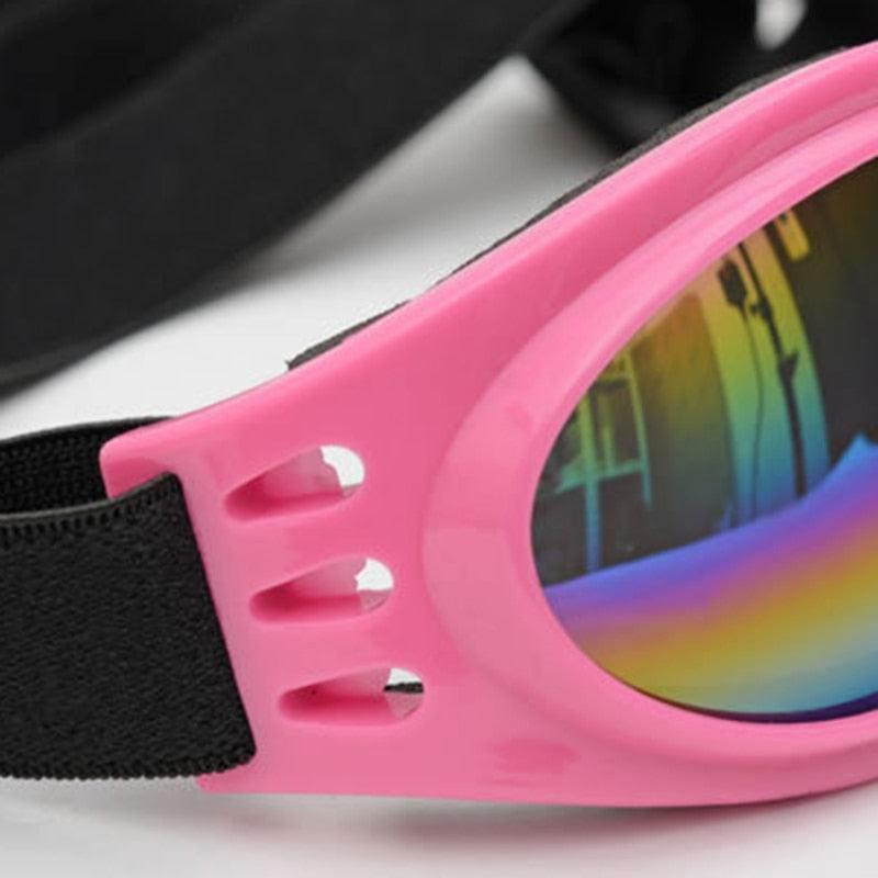 Lunettes de protection pour chien – Anti-pluie & UV