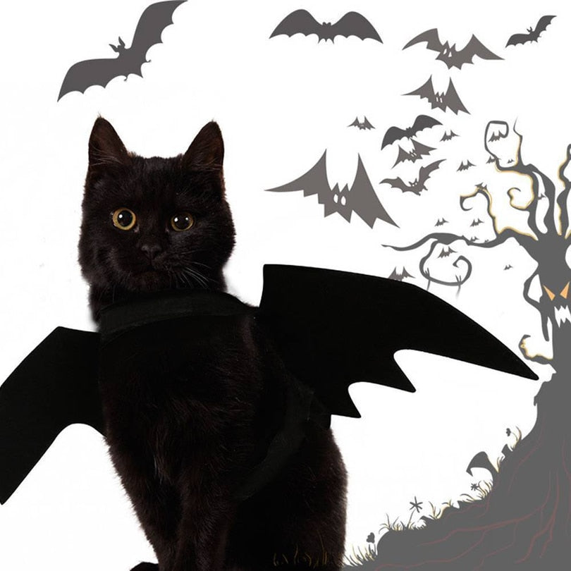 Ailes de chauve-souris Halloween pour chat