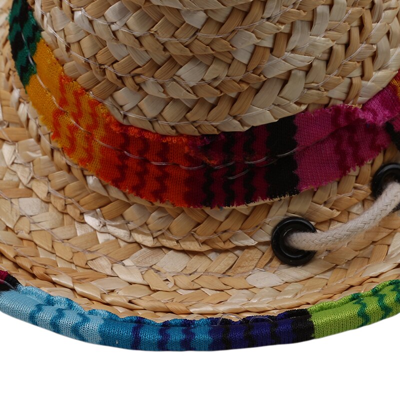 Chapeau mexicain en paille pour chien & chat