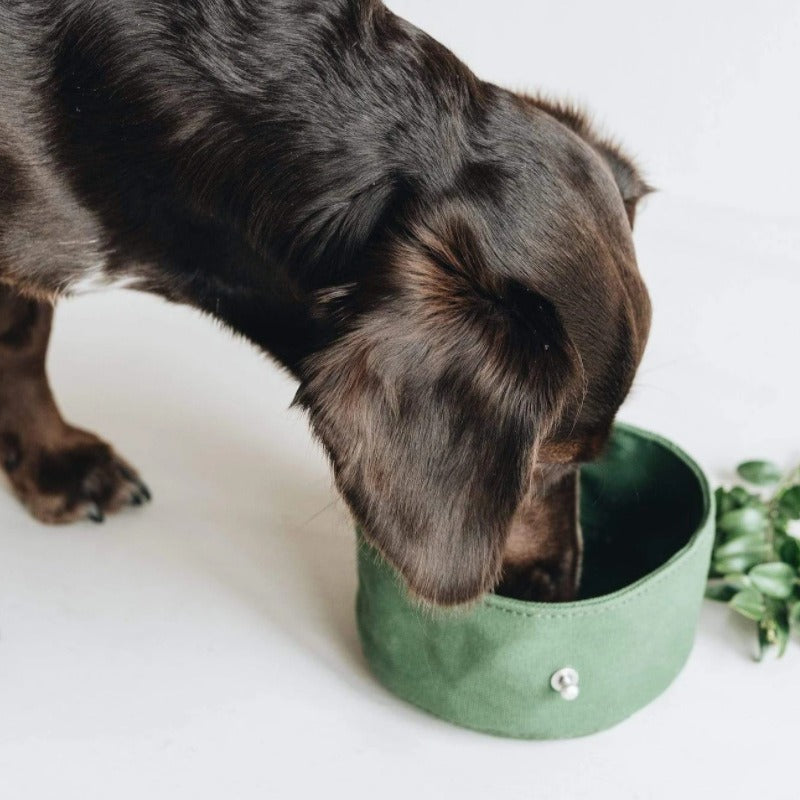 Gamelle pliable de voyage pour chien & chat