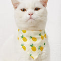 Bandana pour chien & chat – Foulard en coton