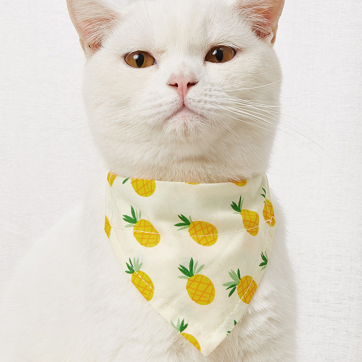 Bandana pour chien & chat – Foulard en coton
