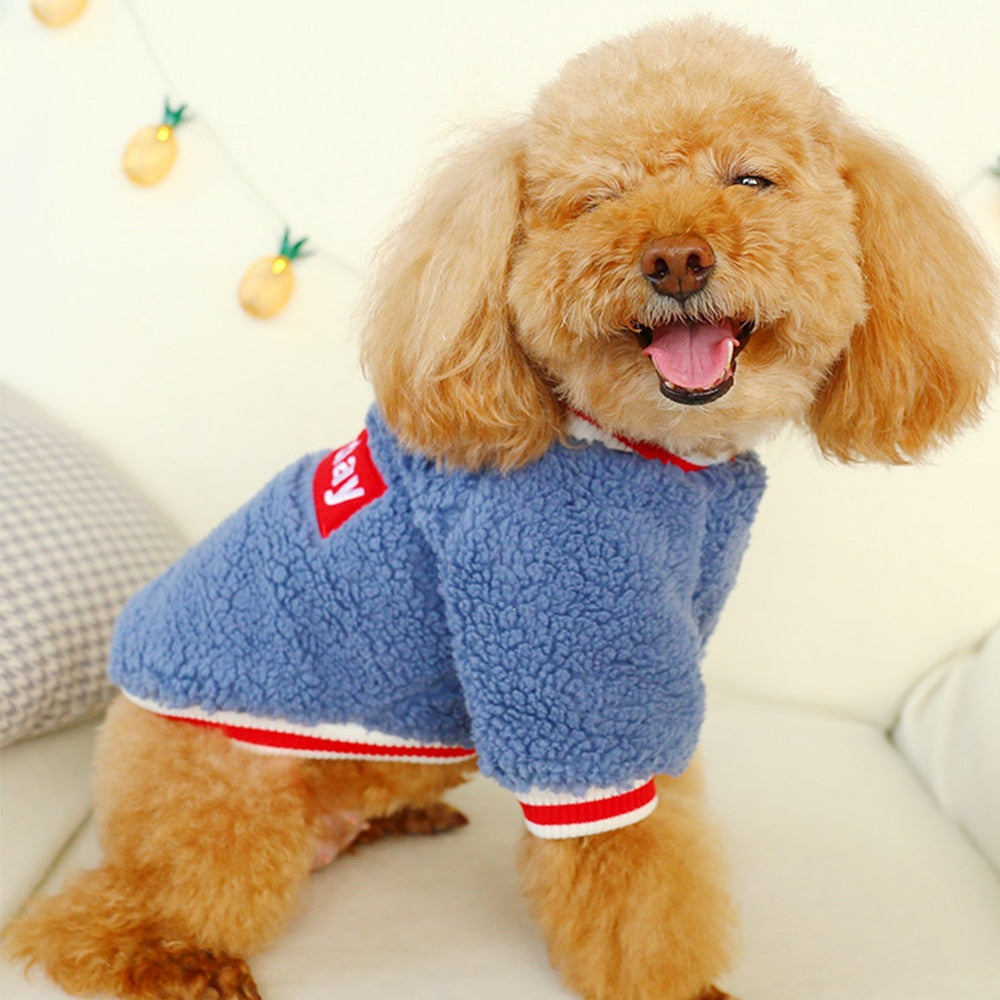 Pull en coton pour petit & moyen chien