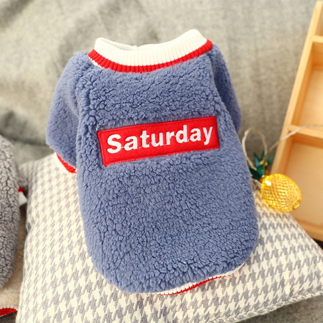 Pull en coton pour petit & moyen chien