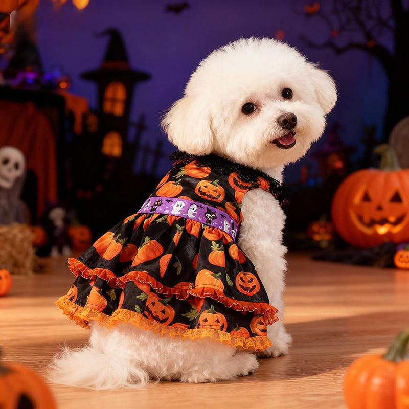 Robe Halloween pour chien – Dentelle citrouille