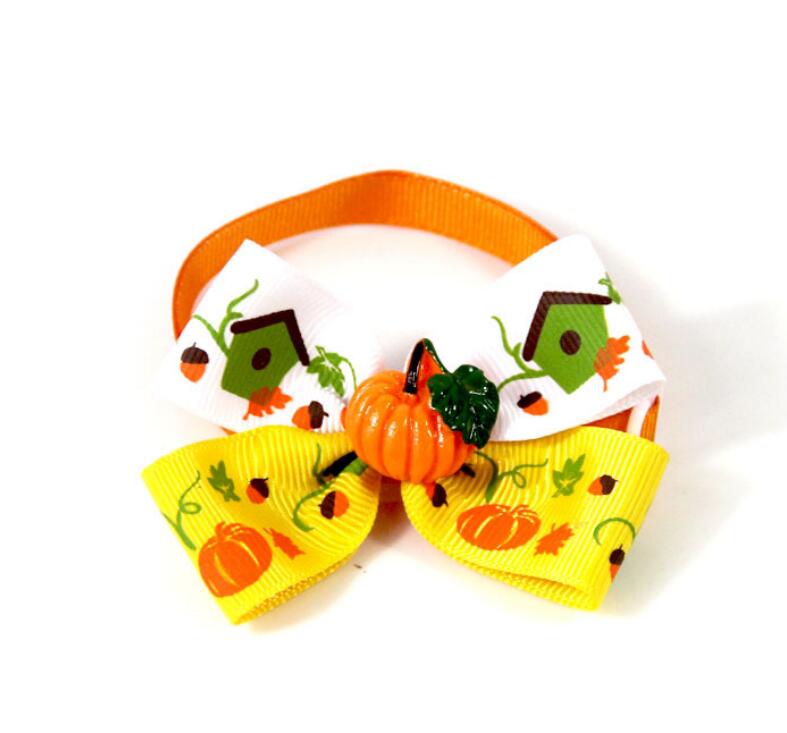 Nœud papillon citrouille pour chien & chat