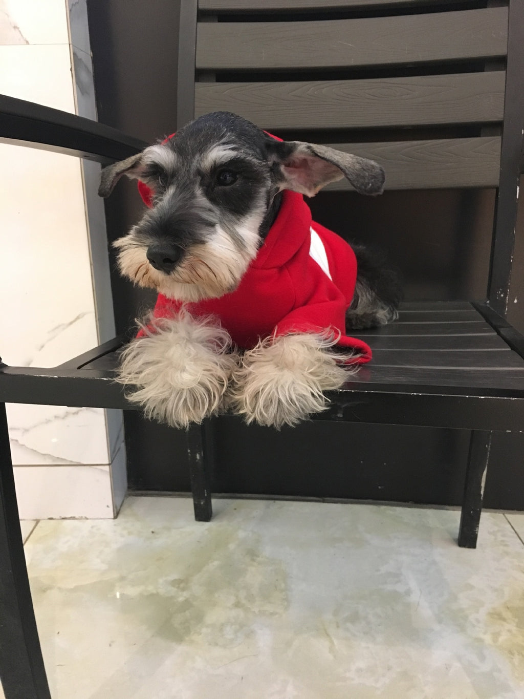 Manteau chaud pour chien – Vêtement automne & hiver